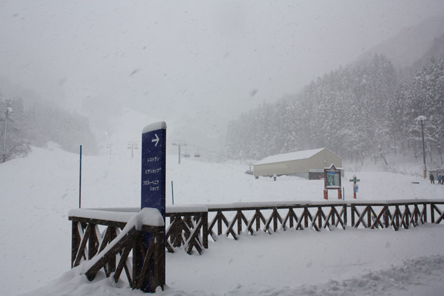 富山県 スノーバレー利賀スキー場 ベースの「セントラルプラザ」から見た１ゲレンデ